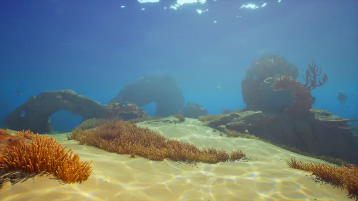 Shallows biome from the Subnautica 2 Wiki